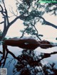 A naked woman laying in a pool of water under a tree.